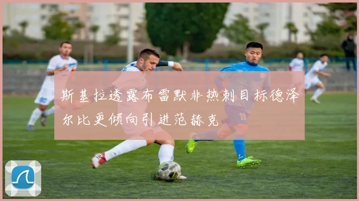 斯基拉透露布雷默非热刺目标德泽尔比更倾向引进范赫克